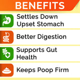 STRELLALAB Pumpkin for Dogs - 8oz High Fiber Powder Supplement - Stool Consistency and Softener - Diarrhea, Constipation, Upset Stomach, Food Sensitivity, Scoot - Digestion Support - Made in USA