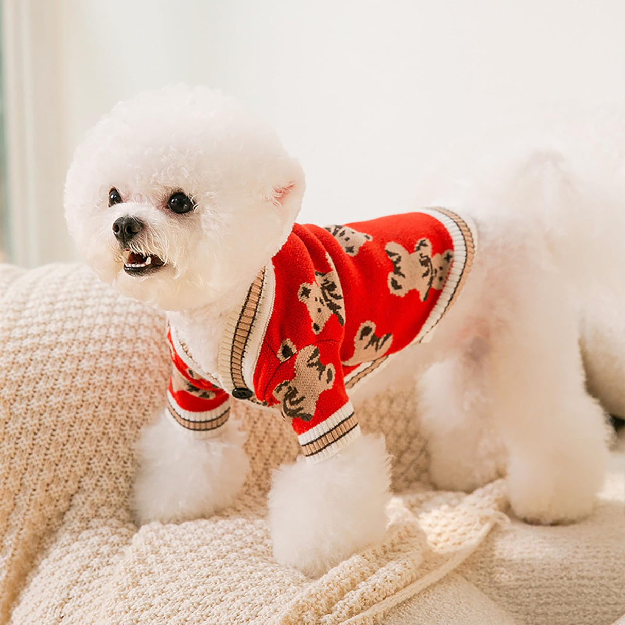Dog Sweater for Small Dogs Cute Bear Pattern Doggie Clothes Winter Warm Puppy Coat Chihuahua Yorkie Holiday Birthday Outfits Halloween Christmas Small Dog Costume Fall Pet Cat Lightweight Sweaters