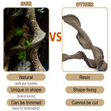 Reptile Decor 4PCS Natural Forest Branch Terrarium Habitat Driftwood Decoration Lizard Climbing Tree Branch for Bearded Dragon Gecko Snake Frog Chameleon Spider