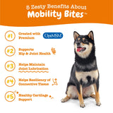 Zesty Paws Mobility Bites for Dogs, Hip and Joint, All Ages, Duck, 90 Soft Chews, 12.7 oz (360 g), Discontinued Listing DO NOT Buy