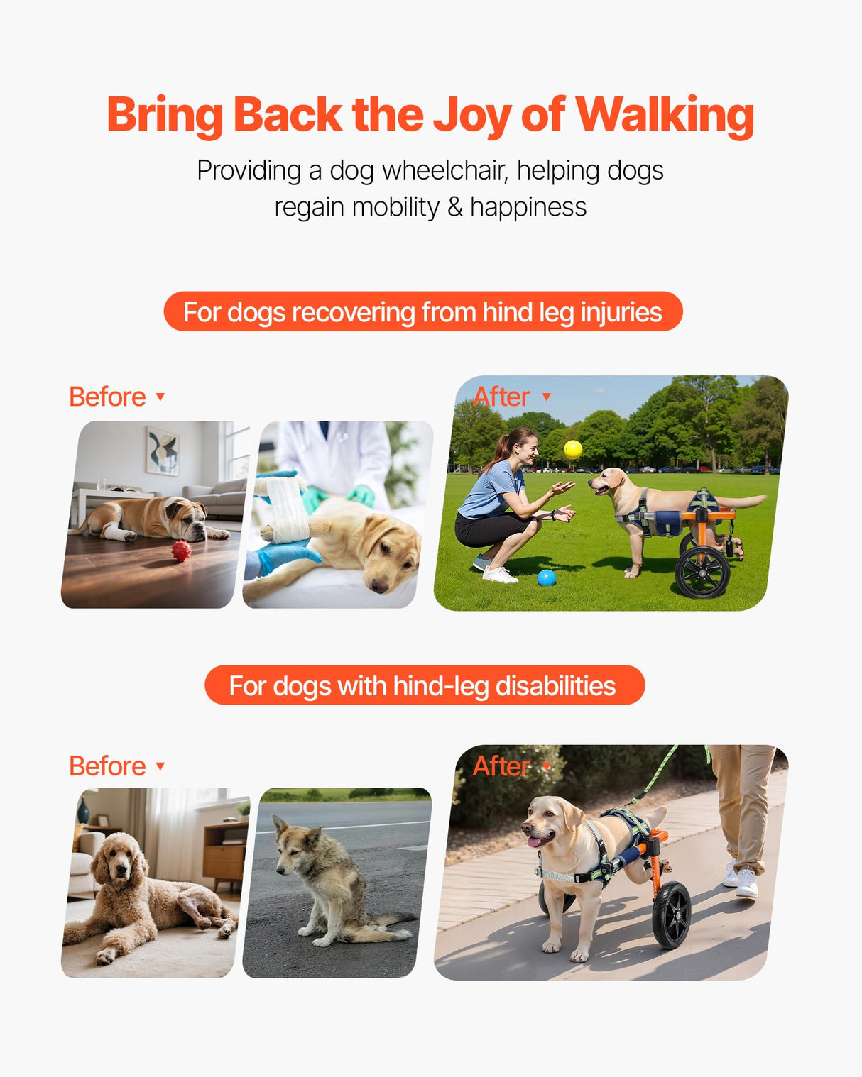 VEVOR Dog Wheelchair for Back Legs, Lightweight 2 Wheels Pet Wheelchair, Height, Width & Length Adjustable, Dog Cart with Shock-Absorbing Wheels, for Injured, Disabled Dogs 35-48 lbs, Medium