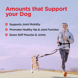 Nutri-Vet Hip & Joint Biscuits for Dogs, Dog Hip & Joint Supplement, Functional Treat, Large Sized Biscuit, 300mg of Glucosamine, 6 lb Bag