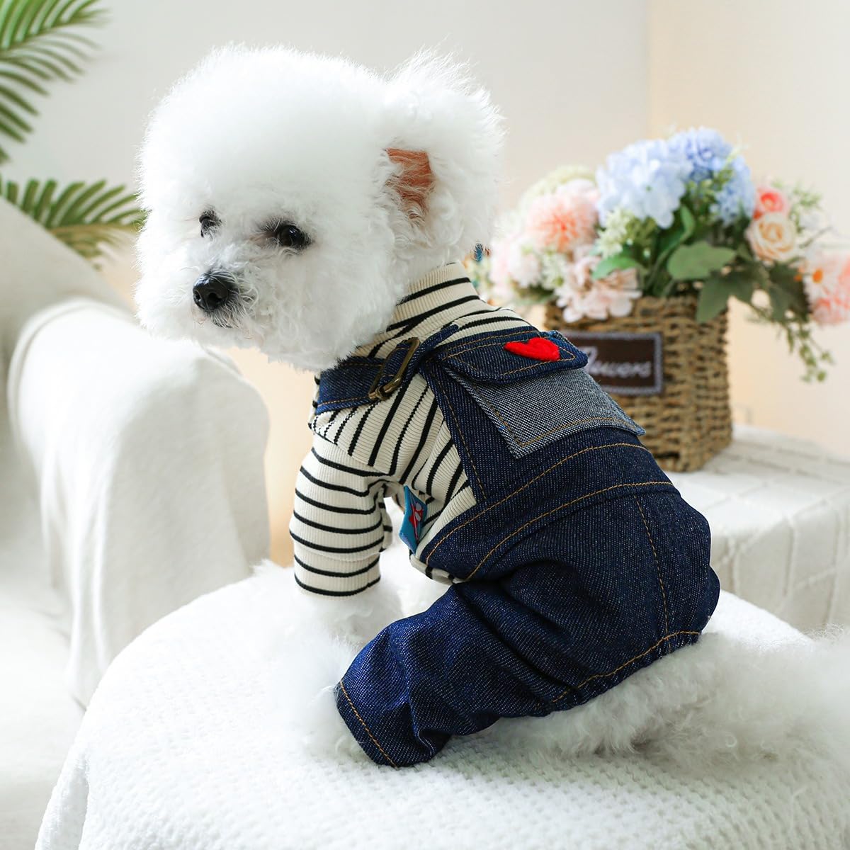 Pet Jean Jumpsuit Small Dog Clothes Costumes for Cats Dog Sweater Warm Dog Coat Winter Clothes for Dogs Summer Dog Clothes Dog Christmas Outfit Puppy Clothes Dog Winter Jacket Dog Costumes Apparel