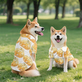Rivatimrio Rose Pumpkin Pet Clothes Tropical, Champagne Rose Doggy Summer Cool Hawaii Shirt for Small Puppy Pug Dog Cat, Autumn Harvest T-Shirt Pug Dogs Shirts Yorkie Rabbit Poodle - M