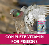 VITOFARMA MULTIVIT Pigeon para palomas 100 Tabs Vitamins Minerals Aminoacids for Racing Pigeons Show Pigeons Rollers Supplement for Birds
