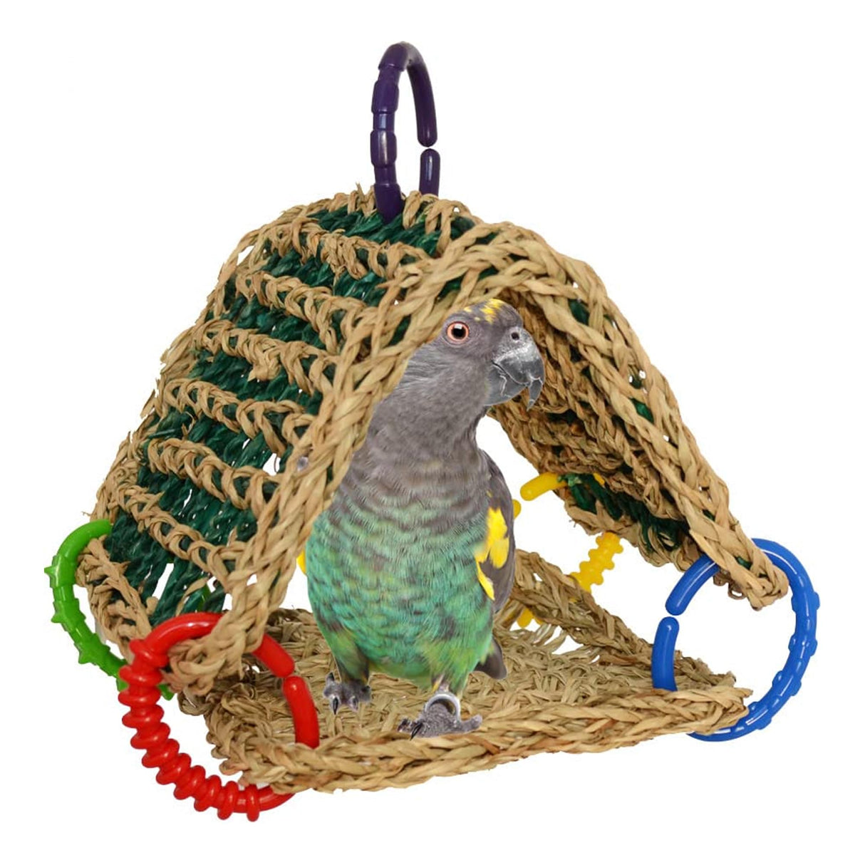 Super Bird Creations SB881 Seagrass Tent, Small/Medium Bird Size, 8” x 7” x 8”