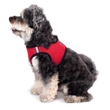 THE WORTHY DOG Step-in Dog Harness for Small Dogs, Comfortable Mesh, Reflective, Strong Hook and Loop Closure, Quick Release Buckle, Red, XX-Small