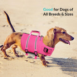 Queenmore Medium Dog Life Jacket,Dog Life Vest for Swimming,Dog Floating Vest for Boating,Pet Puppy Lightweight Adjustable Reflective Lifesaver Vest with Back Zip,Rescue Handle,Leash Hook(Fuchsia M)