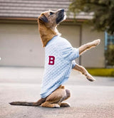 Blueberry Pet Soft & Comfy Baseball Fans Favorite Argyle Jacquard Pullover Dog Sweatshirt in Grey, Back Length 22", Pack of 1 Jacket for Dogs