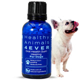 HA4E - Dog Oral Health Supplement - Relieves Inflammation, Soothes Pain & Fights Gum Disease - Natural, Non-GMO, Organic, Gluten-Free & Chemical-Free - 300 Tablets