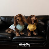 WienieDay Dachshund Dog Cooling Vest, Breathable Summer Dog Cooling & Quick-Dry Shirt for Outdoor Activities,Mini Dachshund Lightweight Clothes, Vest Small Dogs (Blue, L(16-22 lbs))