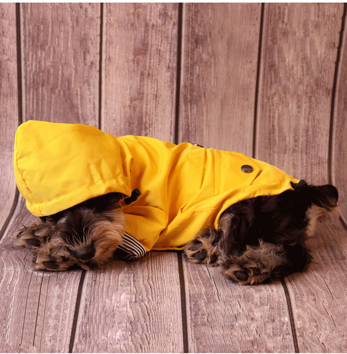 Dog Raincoat Jacket with Zip up Yellow rain Coat Hoodie Water Resistant Stylish Dog Raincoats (Large,Yellow)