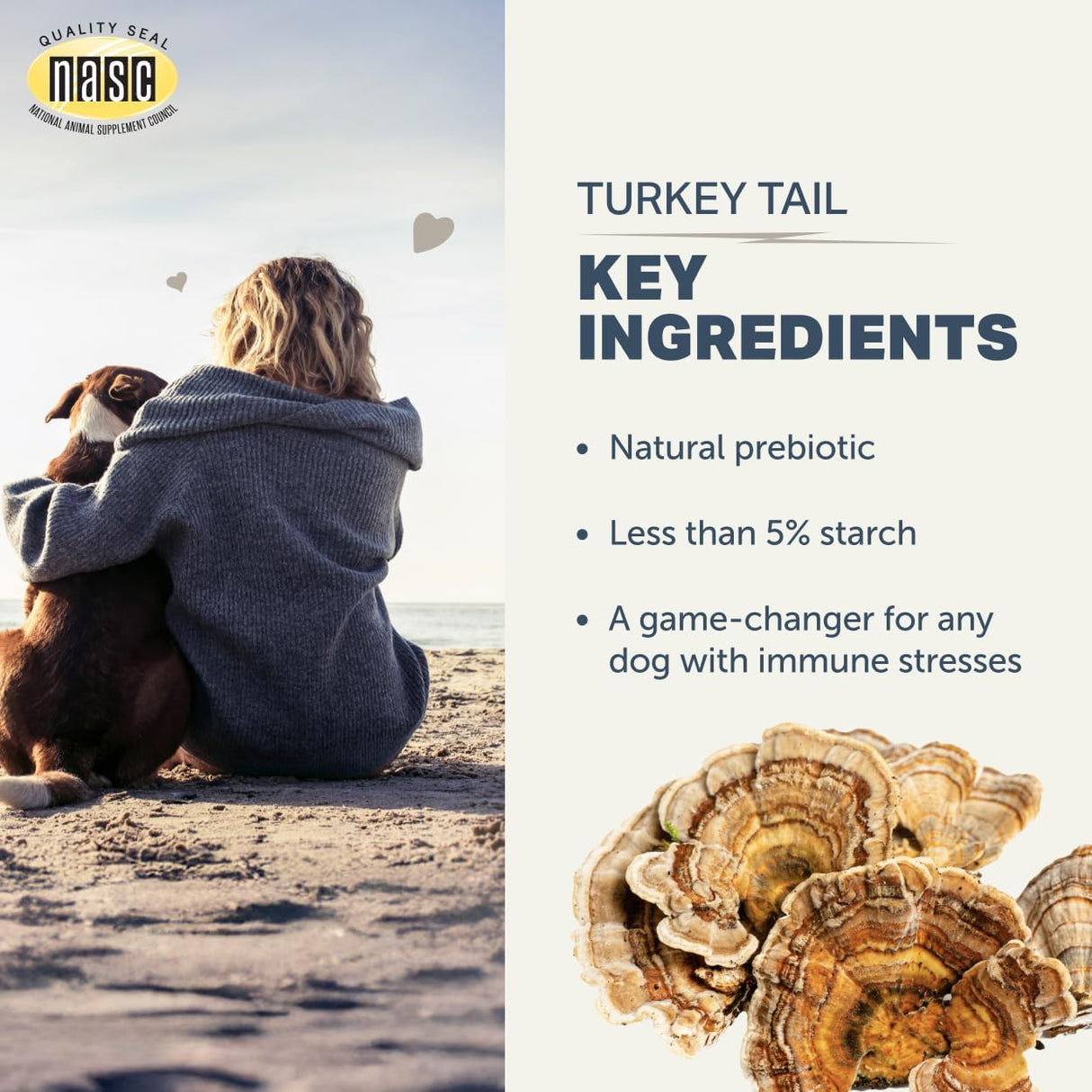Turkey Tail Mushroom for Dogs - Whole, Organic Mushroom Extract - Over 50% Beta-Glucan - Third Party Tested, Made in The USA - No Grains No Fillers