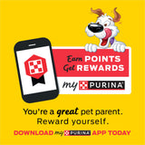 Purina Beggin' Strips With Real Meat Dog Training Treats With Bacon and Cheese Flavors - (Pack of 2) 26 oz. Pouches