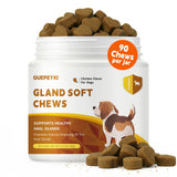 QUEPEYKI Anal Gland Support Soft Chews for Dogs, 90 Count – Pumpkin Seed Fiber, Psyllium & Dandelion Root with Probiotics (800M CFU) – Supports Firm Stools & Digestive Balance – Chicken & Liver
