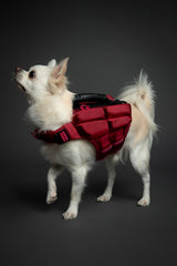 NOAH & PAW Dog Life Jacket, Human Standards Lifejacket Design, Dog Life Vest for Swimming and Boating, 3X Foam Support for Max Floating, Breathable Mesh, Salvavidas para Perros, Size XS