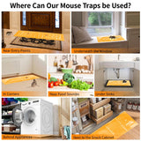 6 Pack 47 * 11 in Large Rat Traps, Heavy Duty Sticky Mouse Traps for House Indoor, Extra Strength Snake Traps for Mice Rat Snake Roach Lizard Spider Scorpion and Other Pests