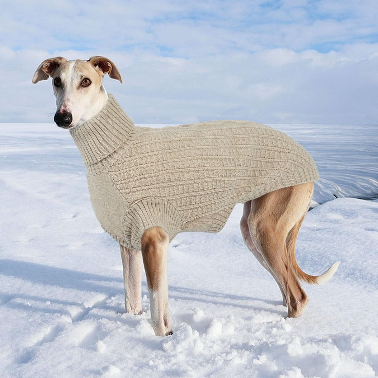 Dog Sweaters for Medium Dogs Girl Boy, Pet Thermal Knitted Turtleneck Medium Dog Sweater for Dogs Pets Winter Clothes Outfits, Greyhound, Apricot M