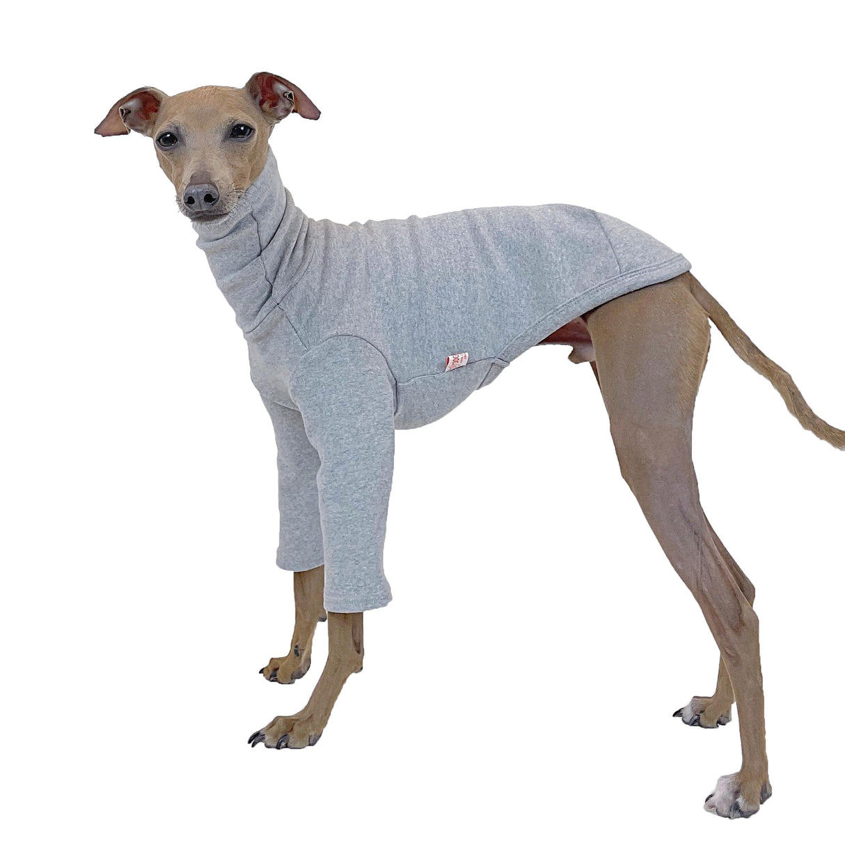 D Doggy Star Italian Greyhound Clothes Flexible T Shirts Whippet for Dogs (L,Solid Grey)