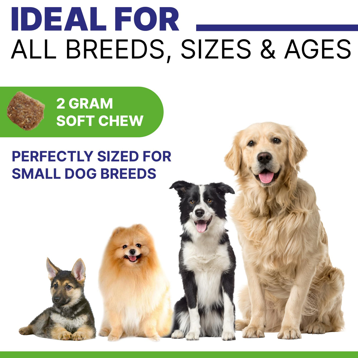 Pawsential NO Poo Chews for Dogs - Prevent Dog Poop Eating - Coprophagia Treatment - Stool Eating Deterrent - Digestive Health + Breath Aid/Probiotics & Enzymes - Made in USA - 120 Treats