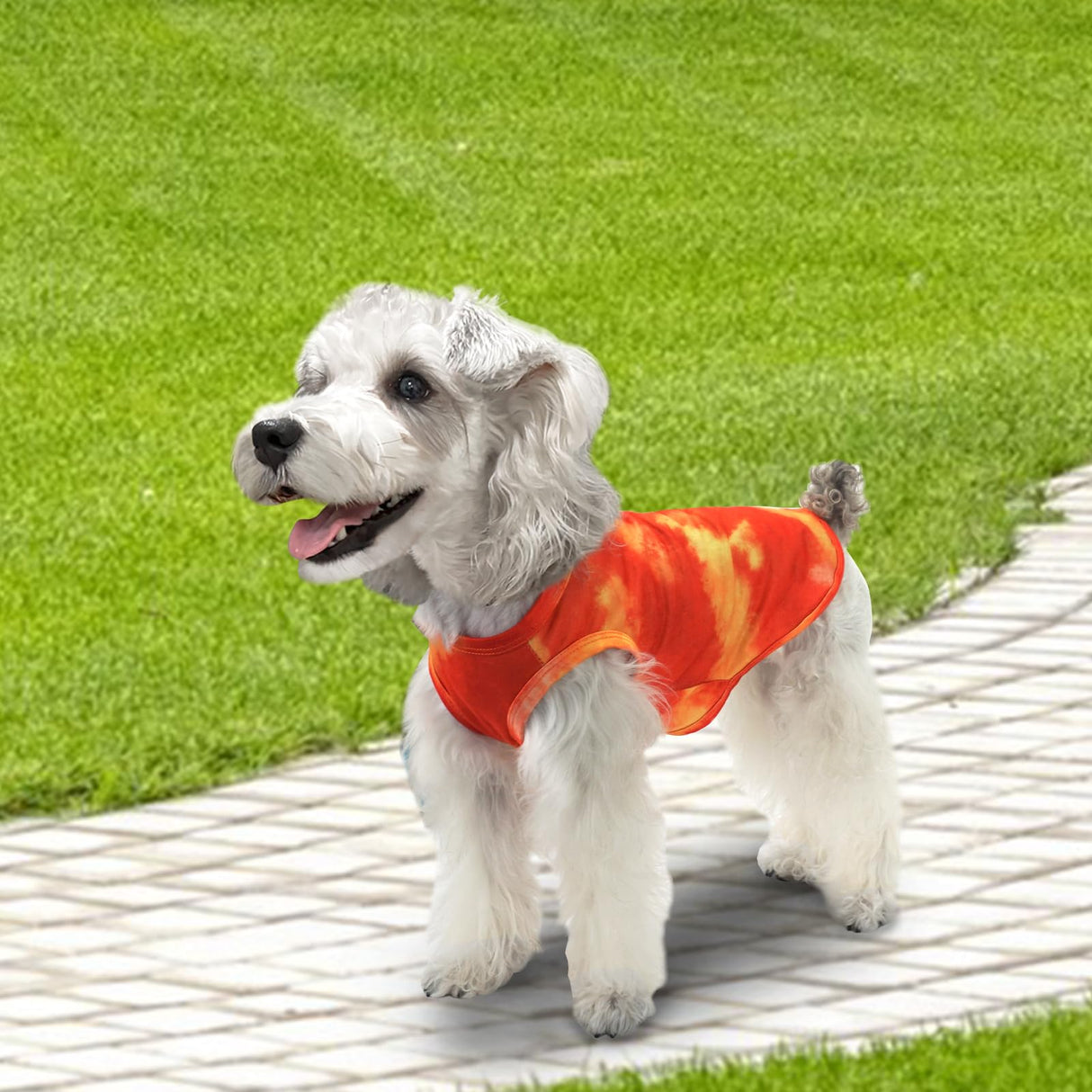 XPUDAC 4 Pack Dog Shirt Tie Dye Lightweight Dog Clothes for Small Dogs Boy Girls Breathable Stretchy Tank Top Vest-X-Large