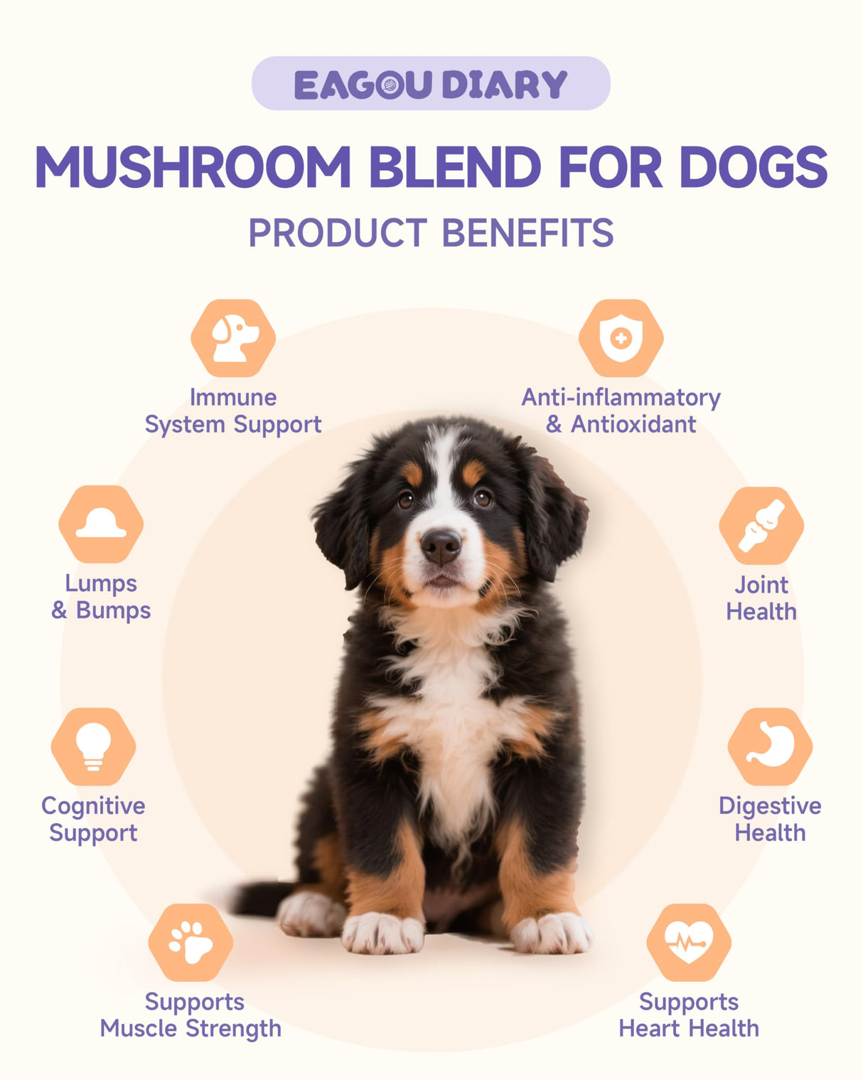 Mushroom for Dogs - with Turkey Tail Mushroom for Dogs, Lion’s Mane, Shiitake, Supports Joint & Gut Health, Enhances Energy, Lumps & Bumps Supplement,Organic Mushrooms Supplement for Dog, 60ml Drop