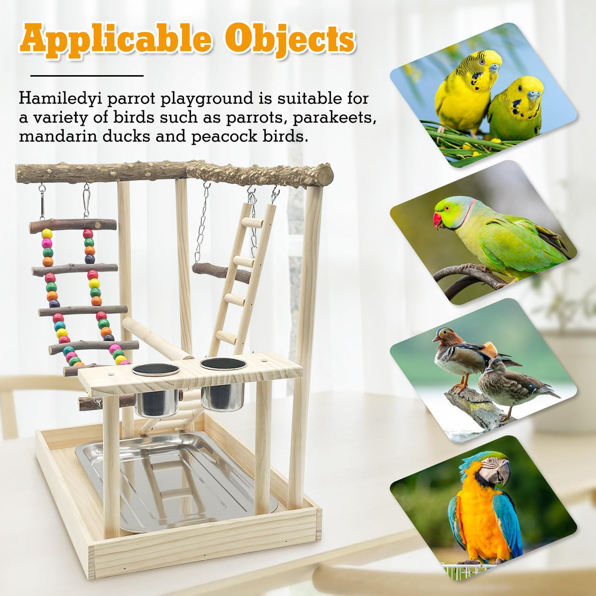 Hamiledyi Bird Playground Parrots Wood Perch Stand Cockatiel Playground Bird Play Gym Colours Climb Ladders Swing Chewing Toys with Parakeet Feeding Cups Exercise Activity Center for Lovebirds Conure