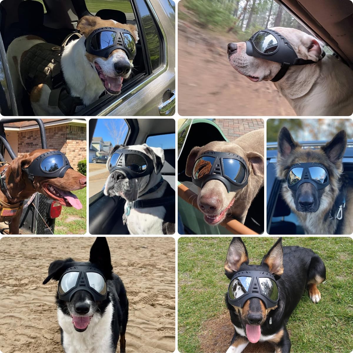 PETLESO Large Dog Goggles Pet Eyes Protection for Medium to Large Breed, Windproof Snowproof UVproof Dog Sunglasses for Outdoor Hiking/Cycling/Driving, Soft Frame Adjustable Straps, Clear Blue Lens
