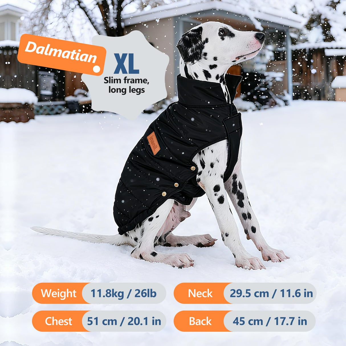 Dog Puffer Jacket for Small & Medium Dogs, Waterproof Windproof Warm Dog Winter Coat, Lightweight Cold Weather Pet Vest with Leash Hole and Adjustable Fit, Black, L