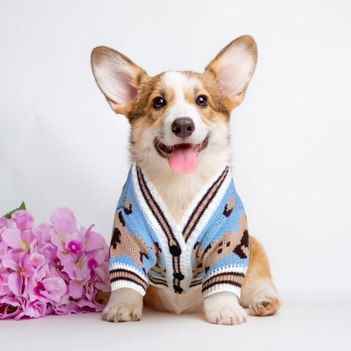 XGDMEIL Small Dog Sweaters Cute Bear Knitted Dog Cardigans Clothes for Small Medium Dogs Soft Pet Puppy Cat Knitting Outfits Fall Winter Warm Boy Girl Dogs Knitwear Coat Apparel（Blue,X-Large）