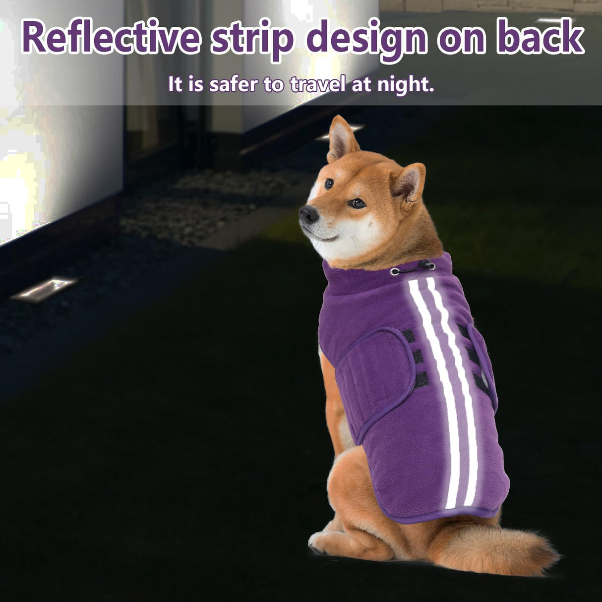 Dachshund Sweater,Small Dog Sweaters Dachshunds Clothes for Miniature,Fleece Dogs Coat,Warm Doggy Coats for Medium Dogs Girl,Female Puppy Winter Jacket Apparel & Accessories (Purple, Medium)