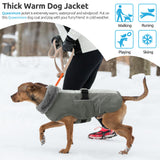 Queenmore Dog Winter Jacket, Fleece Dogs Vest for Winter, Dog Cold Weather Coats, Puppy Coats for Medium Breeds Waterproof, Pet Snowsuit with Leash Hole, Grey, M