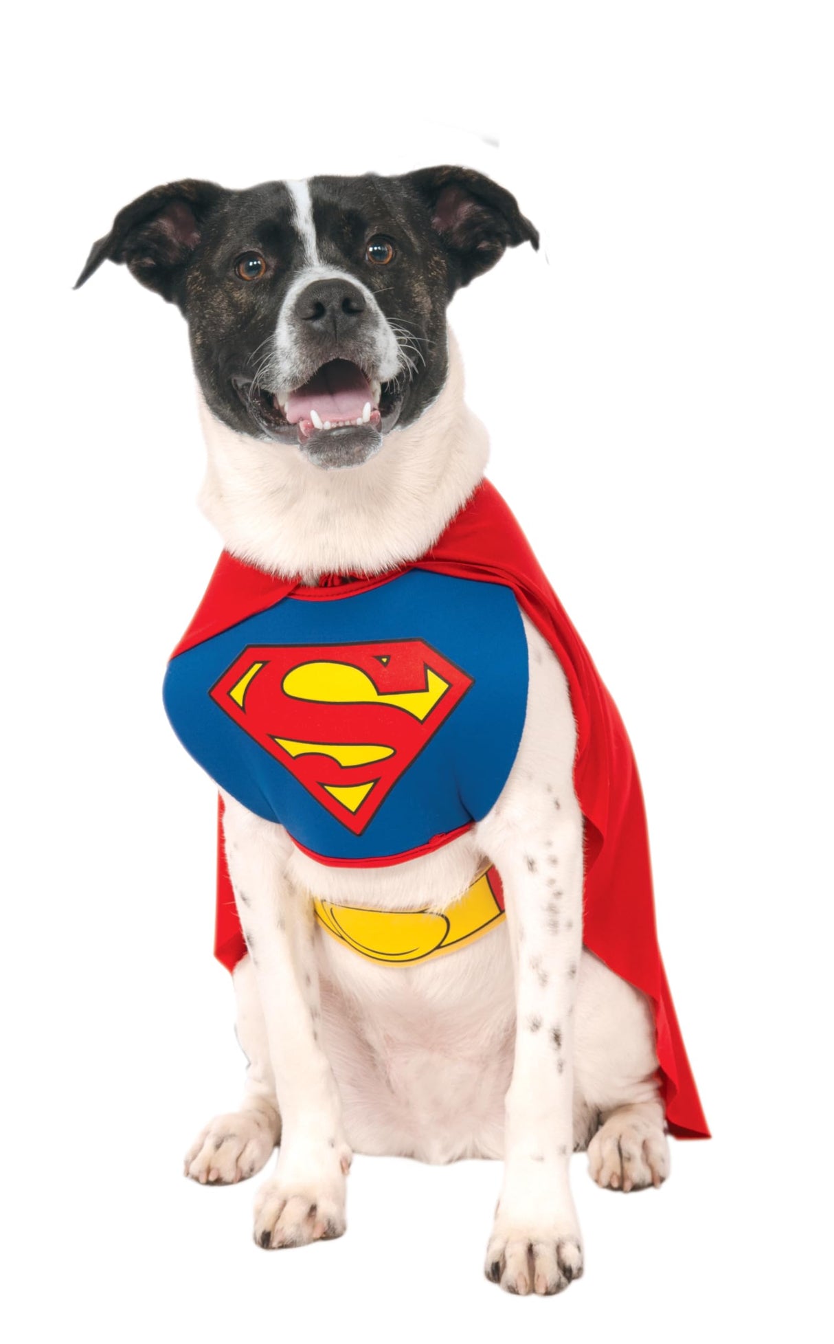 DC Comics Superheroes: Superman Pet Costume for For Dogs or Cats by Rubies, Large