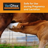 VetDtox 1qt Activated Charcoal Powder for All Kinds of Pets & Livestock, Dog, Cat, Chicken, Horses and More - for Diarrhea, Gas Relief, Liver Support