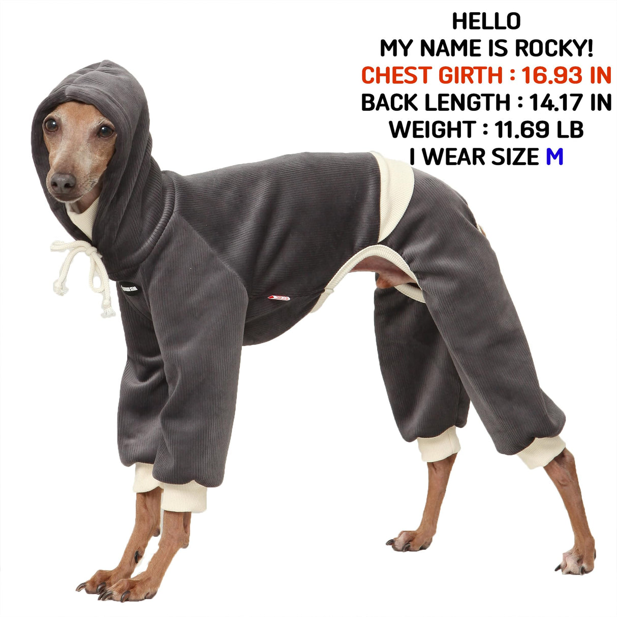 D Doggy Star Italian Greyhound Clothes, Corduroy Velvet Hooded Jumpsuit, Stretchy and Cozy (2XL,Hoodie Charcoal)