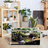 Tlence Acrylic Tarantula Enclosure Terrarium, 8" x 4" x 4" Small Magnetic Reptile Tank, Micro Spider Breeding Habitat Cage, Clear Ventilated Lizard Display Box for Hermit Crab Invertebrates Scorpion