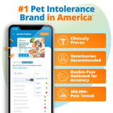 5Strands Raw & Fresh Pet Food Intolerance Test, at Home Gut Health Test for Dogs & Cats, 400+ Raw & Gently Cooked Fresh Food Items Tested, Accurate for All Ages & Breeds, Fast 4 Day Results