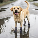PUPTECK Anti Slip Dogs Shoes for Hot/Cold Pavement, Senior Booties, Rubber Boots & Paw Protectors for Small Medium Large Size Dogs to Prevent Licking, Grippy Socks for Hardwood Floors, Tiger XXL