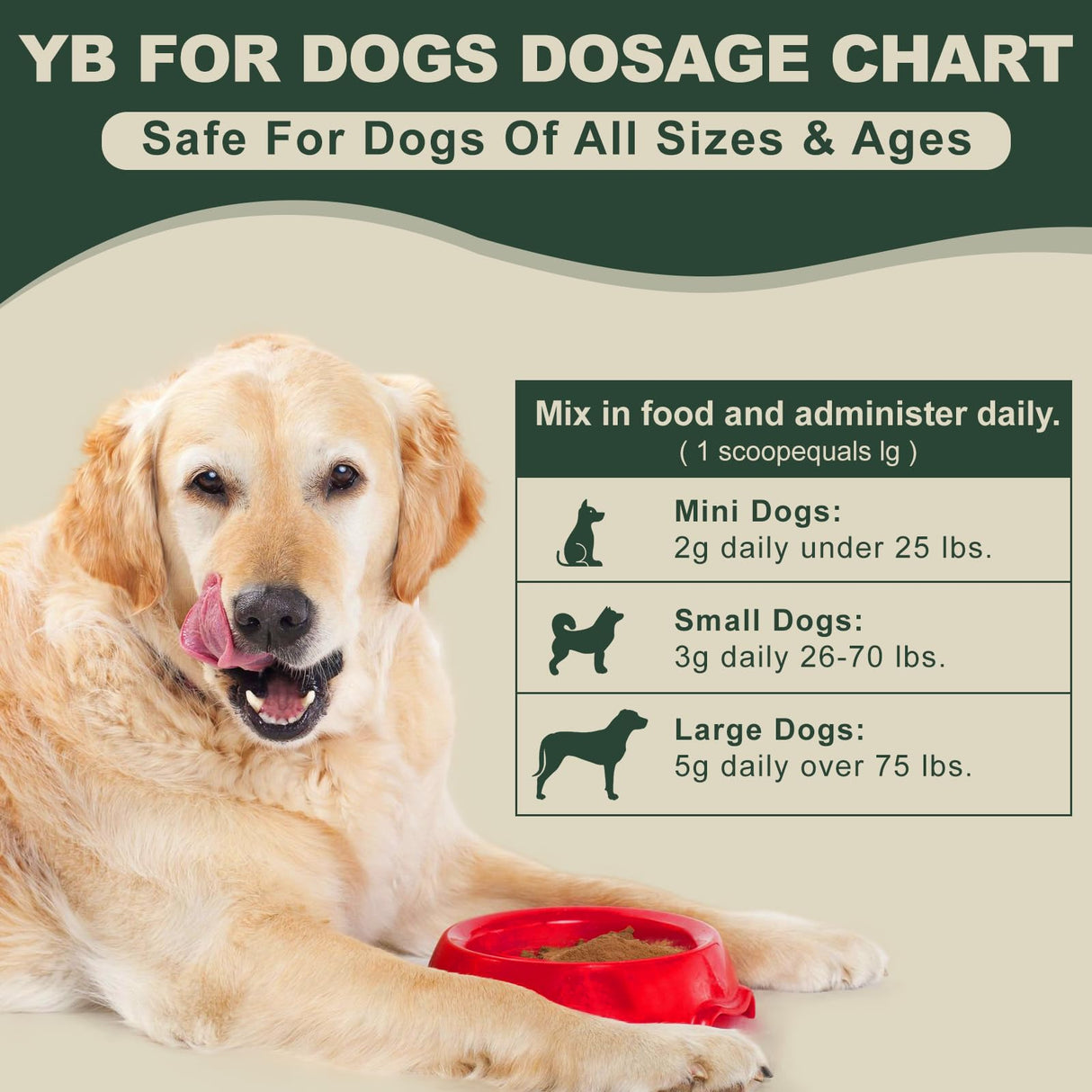 Aids in Cancer Treatment, Quick Stop Bleeding, Yunnan Sanqi Powder for Hemangiosarcoma, Hemoabdomen, Pericardial Effusion, Cancer Bleeding, Nose Bleed, Bloody Stools, Blood Support for Dogs, 100g