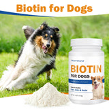 Biotin for Dogs, Supports Shiny Coat and Healthy Skin, Strengthens Dog Nails, Biotin Powder Supplement for Dog Shedding, Dry Skin Relief for Dogs, 6 oz