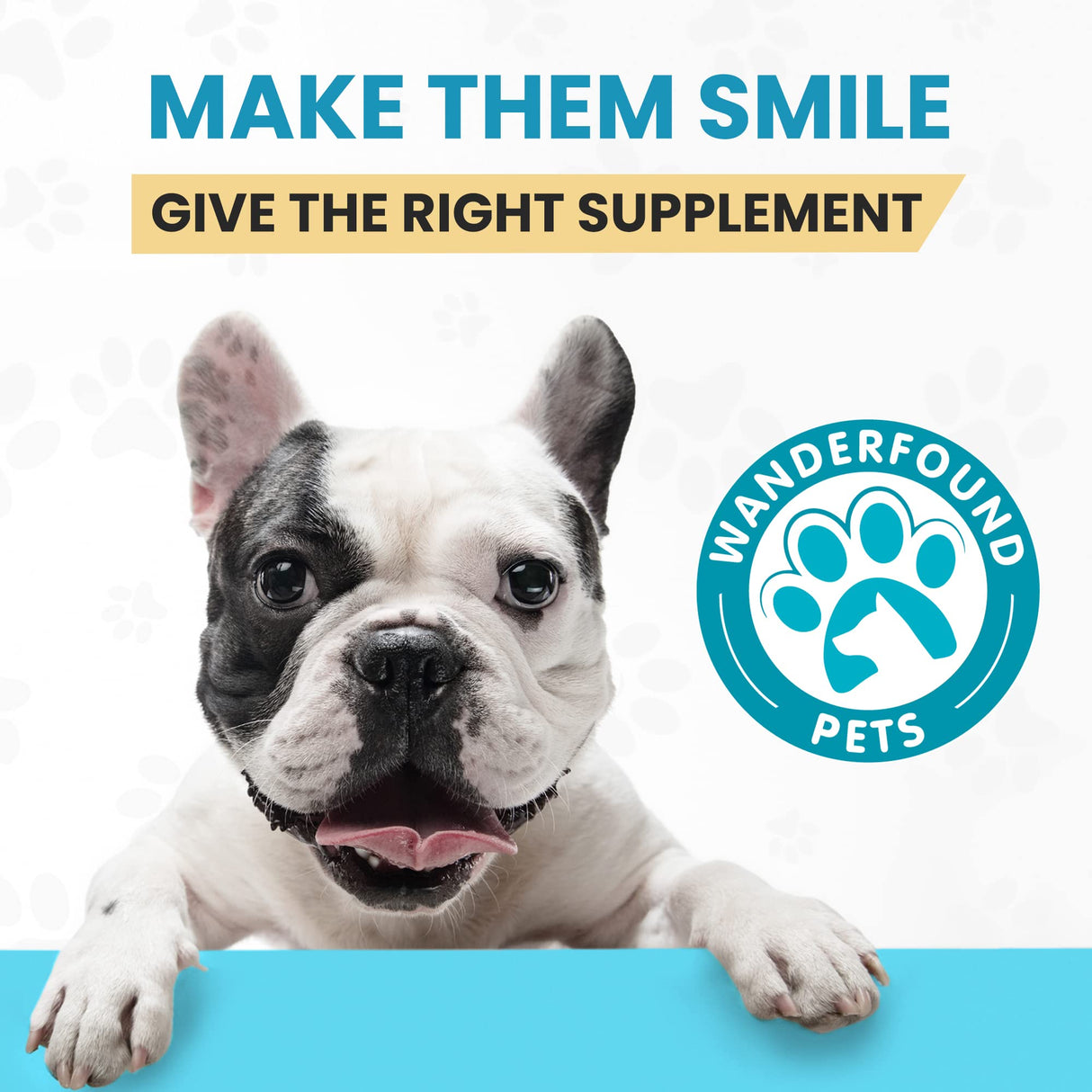 Wanderfound Pets - Omega 3 Fish Oil for Dogs, Smoked Salmon and Liver Flavor, 120 Chewable Tablets