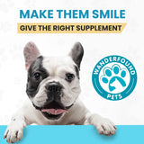 Wanderfound Pets - Omega 3 Fish Oil for Dogs, Smoked Salmon and Liver Flavor, 120 Chewable Tablets