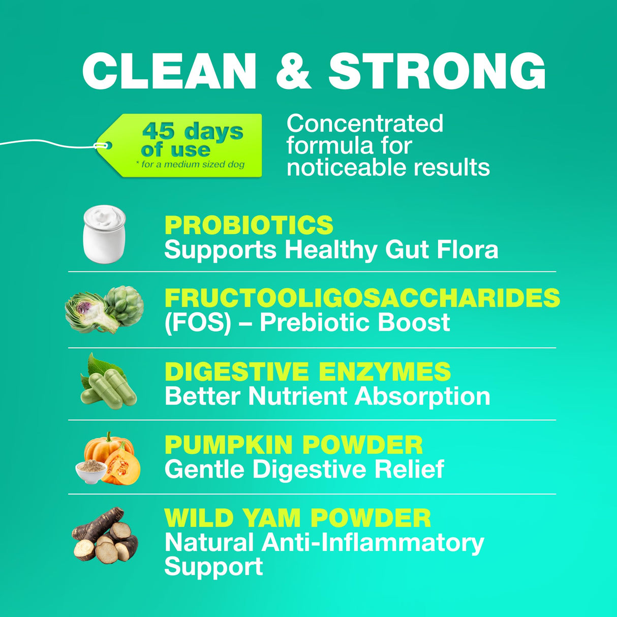 Probiotics for Dogs Gut Health, Digestion, Immunity, Yeast Balance, Itchy Skin, Allergies Support - Dog Probiotic Chews with Digestive Enzymes for Gut Flora- Soft Treats with Pumpkin and Yeast Powder