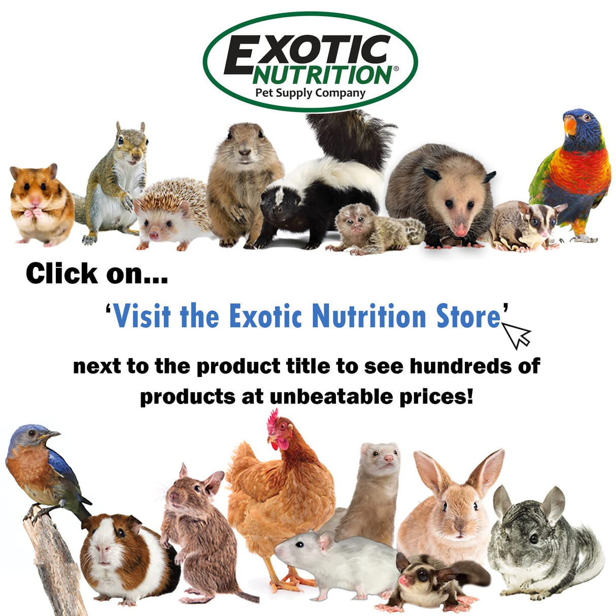 Mealworm Breeder Kit (Basic) - Breed Live Feeder Worms for Hedgehogs, Sugar Gliders, Reptiles, Wild Birds, Chickens, Lizards, Bearded Dragon, Skunks, Opossum, Fish, Turtles, Tortoises, Geckos