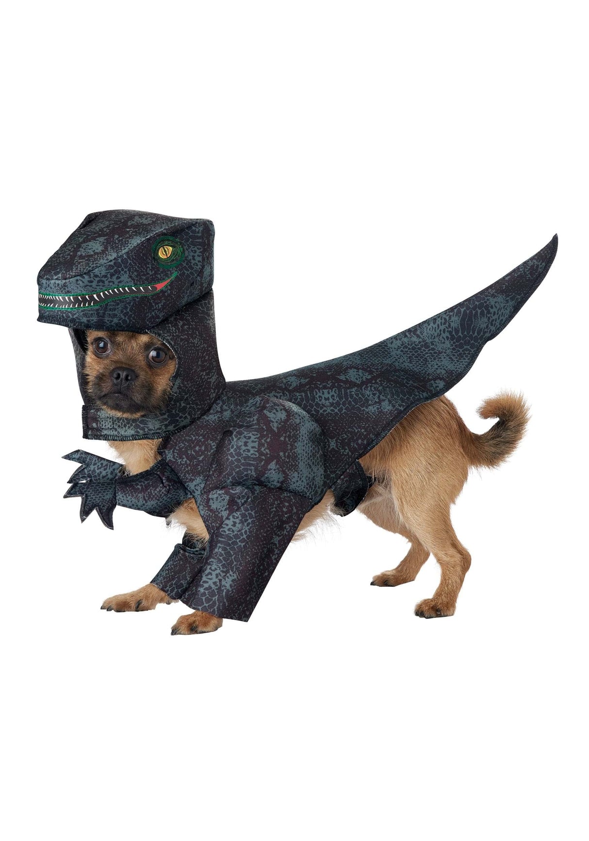 California Costumes Dog Pupasaurus Rex Costume Small
