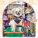 Locmeo 200 Pcs Dog Bandana Bulk Summer Plaid Grooming Pet Bandanas with Cute Sayings for Small to Large Dog Puppy Scarf Spring Holiday Costume Birthday Supplies for Small to Large Cats(Adorable Style)