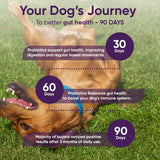 iHeartDogs 3-in-1 Probiotic for Dogs with Pumpkin for Improved Digestion & Gut Health - Dog Probiotics and Digestive Enzymes, 90 Count