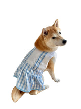 CheetahBoo Blue Plaid Oktoberfest Dog Costume XXL German Octoberfest Dress Beer Outfit Cosplay Halloween Costumes, S