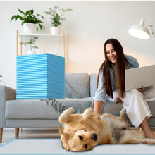 Load image into Gallery viewer, Puppy Pads Extra Large for Dogs 31"x47" 40 Count, Leak-Proof &amp; Super Absorbent Dog Pee Pads, Thicken Disposable Potty Pads Puppy Training Pads for Cats Rabbits (40PCS)
