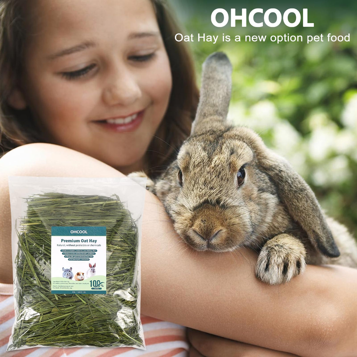 Ohcool Premium Oat Hay for Pets - Dust Free Natural Green Fresh Pet Food Hay for Rabbits, Guinea Pigs, Chinchillas, Hamsters & Gerbils - 1.1lbs